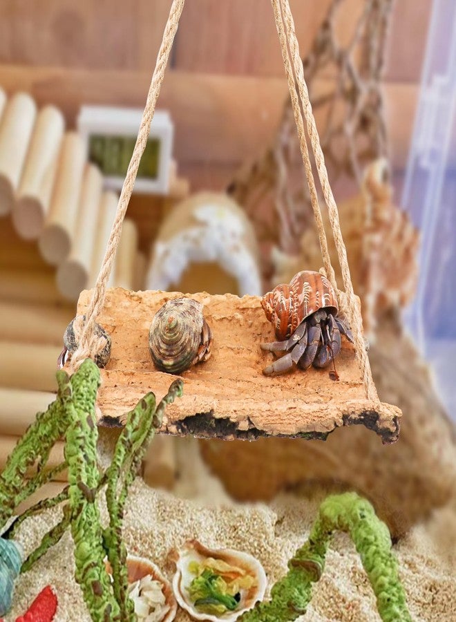 Oooct Hermit Crab Climbing Toy, Natural Wooden Reptile Swing Toy, Pet Cage Tank Aquarium Accessories for Hermit Crab Lizard Chameleon Hamster Guinea Pig Chinchilla Bird Parrot - Image 2
